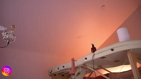 Lilevame @ Stripchat • Recorded January 17, 2026 19:58 • 120m