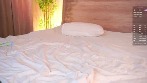 LolySun @ Stripchat • Recorded January 14, 2026 23:01 • 73m