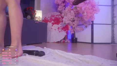 Marry_Cordy @ Stripchat • Recorded May 4, 2026 09:17 • 84m