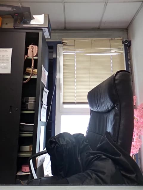 Sarajaymicorazon088 @ Stripchat • Recorded April 15, 2026 14:12 • 120m