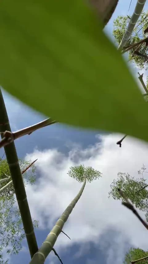 Stailers @ Cam4 • Recorded January 14, 2026 15:42 • 41m