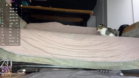 SweetSakuraJane @ Stripchat • Recorded April 1, 2026 02:33 • 83m