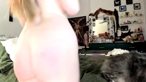 eve003300 @ Chaturbate • Recorded February 21, 2026 04:17 • 90m