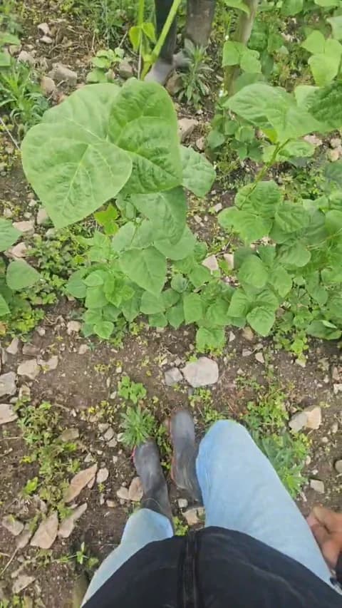 jo23_xxx @ Cam4 • Recorded April 9, 2026 16:46 • 41m