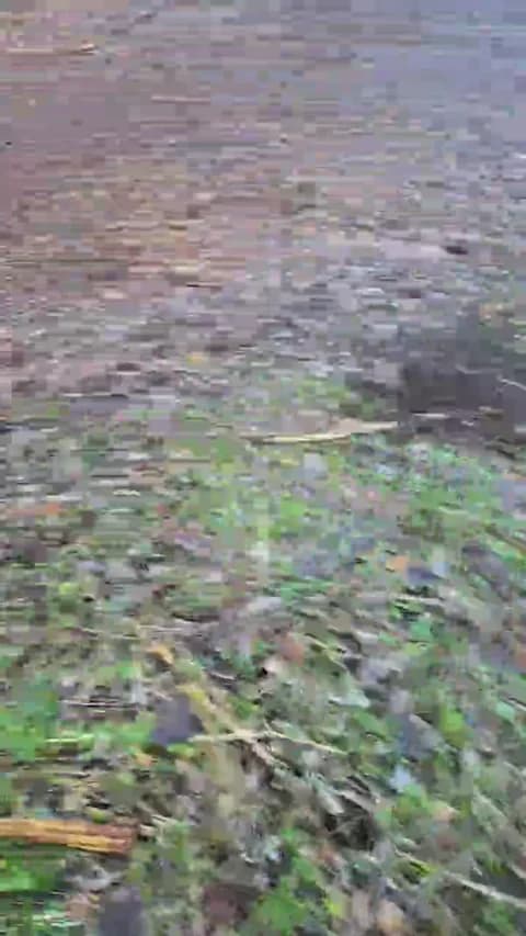 likescock5 @ Cam4 • Recorded January 16, 2026 16:36 • 64m