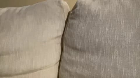 martinabigst @ Cam4 • Recorded January 16, 2026 16:16 • 34m