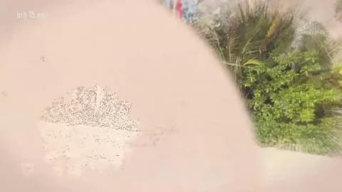 taanni_bc @ Chaturbate • Recorded January 16, 2026 10:19 • 76m